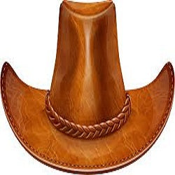 cowboy hat