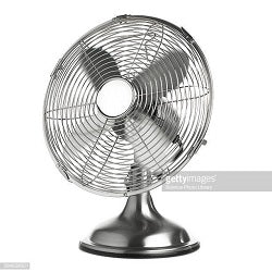 getty fan